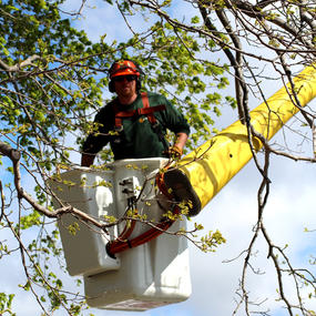 Aerial Lift Specialist